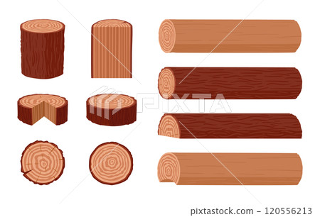 Round timber. Tree trunks, wooden logs, planks, saw cuts and firewood, wood industry materials flat vector illustration set. Cartoon wooden beams on white 120556213