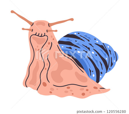 Cartoon snail. Cute slow little slug inside spiral snail shell, garden gastropod snail flat vector illustration. Colorful snail character Cartoon snail. Cute slow little slug inside spiral snail shell, garden gastropod snail flat vector illustration. Colorful snail character 120556280