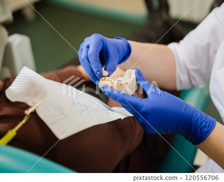 Dentist examining a dental mold for precise treatment planning during patient consultation 120556706