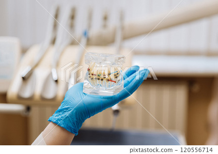 Orthodontist holding a dental braces model for patient consultation in a modern dental clinic Orthodontist holding a dental braces model for patient consultation in a modern dental clinic 120556714