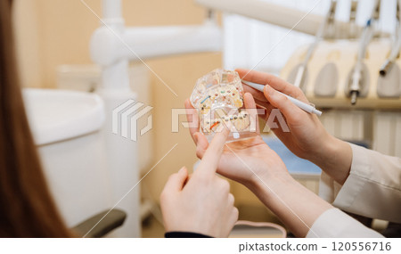 Orthodontic consultation with a dental model showing braces placement and oral care guidance 120556716