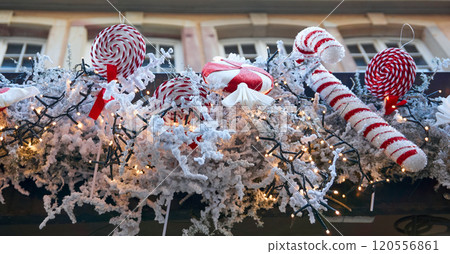 Christmas background with tree branches 120556861