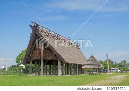 大阪池上曾根遺址公園泉之高殿 120557711