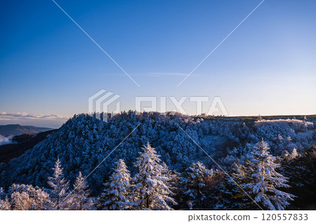 Winter frost on the Utsukushigahara Plateau Winter frost on the Utsukushigahara Plateau 120557833
