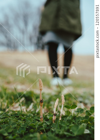 春天風景 120557891