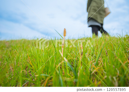 春天風景 120557895