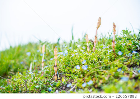 春天風景 春天風景 120557898