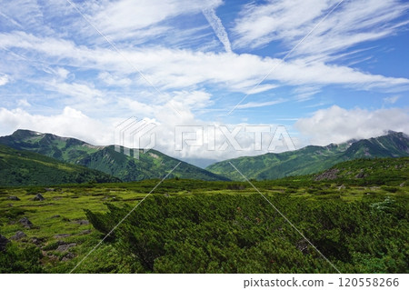 The view from Kumonodaira Sanso in summer 120558266