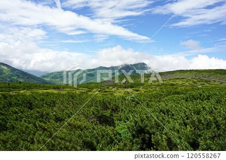 雲平山莊的夏日景色 120558267