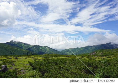 雲平山莊的夏日景色 120558268