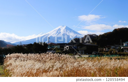 山梨縣下吉田市的富士山和蒲葦 山梨縣下吉田市的富士山和蒲葦 120558494