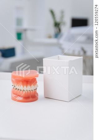Orthodontic dental model with braces for patient education and treatment planning display 120559274