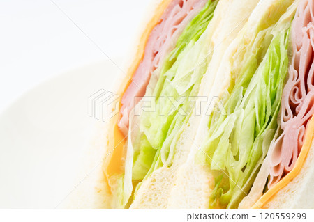 Close-up of a cross section of a ham, cheese and lettuce sandwich Close-up of a cross section of a ham, cheese and lettuce sandwich 120559299