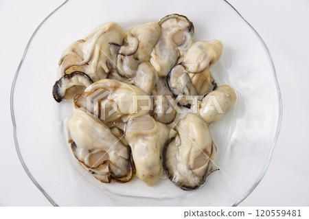 生蠔原料 120559481