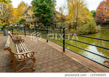 在岐阜縣海津市水鄉公園中心的長椅上,秋葉美麗 在岐阜縣海津市水鄉公園中心的長椅上,秋葉美麗 120560695