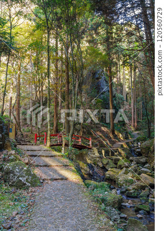 Near Nitenkyo Bridge in Gohotaki Park (Yaotsu Town, Kamo District, Gifu Prefecture) Near Nitenkyo Bridge in Gohotaki Park (Yaotsu Town, Kamo District, Gifu Prefecture) 120560729