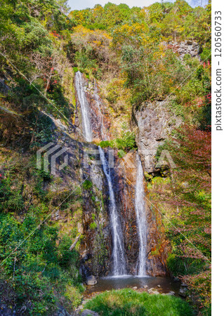 秋天的五峰瀑布（二之瀑布、一之瀑布） 岐阜縣加茂郡八百津町 120560733