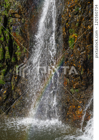 Goho Falls (Nino Falls) with a rainbow over it, Yaotsu Town, Kamo District, Gifu Prefecture 120560734