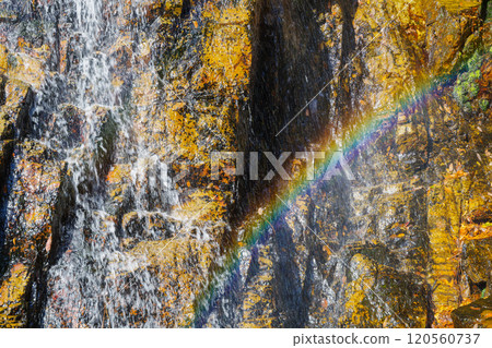 Goho Falls (Ichinotaki Falls) with a rainbow over it, Yaotsu Town, Kamo District, Gifu Prefecture 120560737