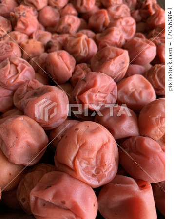 Umeboshi的大粒 120560841