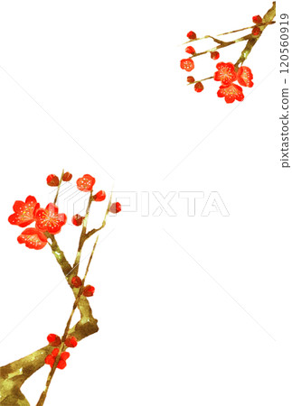 Watercolor plum blossom postcard material Watercolor plum blossom postcard material 120560919
