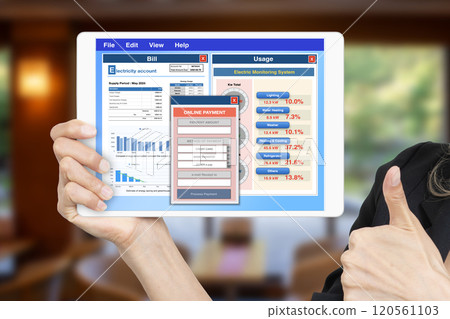 Computer application showing electricity bill and usage with online payment window on digital tablet screen. 120561103