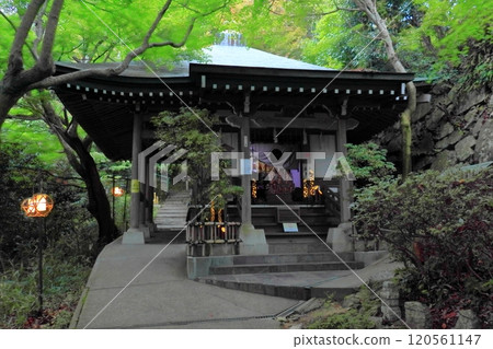 The Jizo Statue of Wishes on Mt. Hachiman (Hachimanyama Castle, Omihachiman City, Shiga Prefecture) 120561147