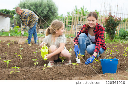 Little girl with family watering planting seedlings 120561918