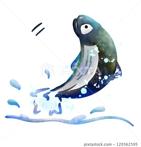 fish jumping out of water illustration, watercolor cartoon drawing 120562595