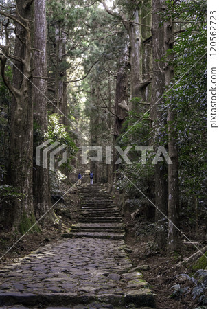 Kumano Kodo Daimonzaka 120562723