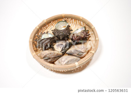 Clams and Sazae 120563631