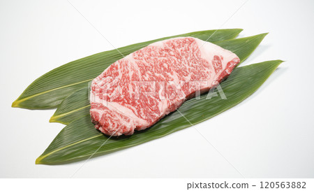 日本牛肉 120563882