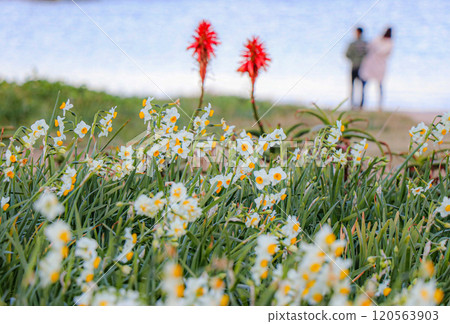 Nailikizaki 120563903