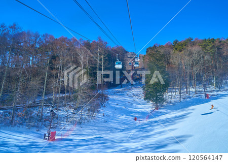 冬季，在長野縣富士見町富士見全景度假村搭乘纜車欣賞滑雪勝地等美景 120564147