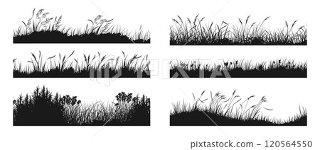 Grass silhouette. Reed meadow. Plant grassland horizon. Flower field landscape. Spring garden foliage. Scenery black border. Swamp panorama. Vector wildflowers flat frame backgrounds set 120564550