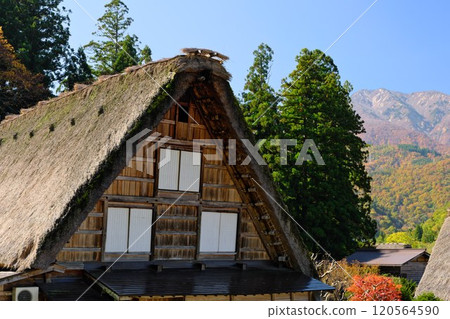Shirakawa-go Gassho-style houses wrapped in autumn patterns 120564590