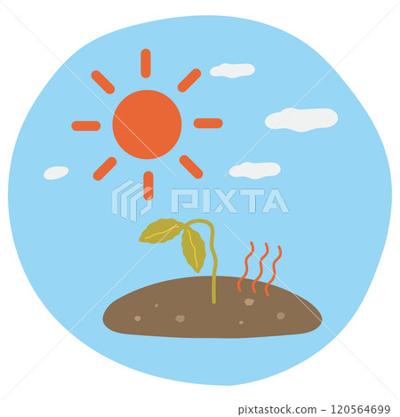 Crops slumping in the intense heat 120564699
