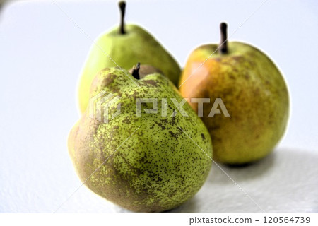 La France is in season now 120564739