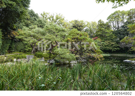 Heian Shrine West Garden (November) Heian Shrine West Garden (November) 120564802