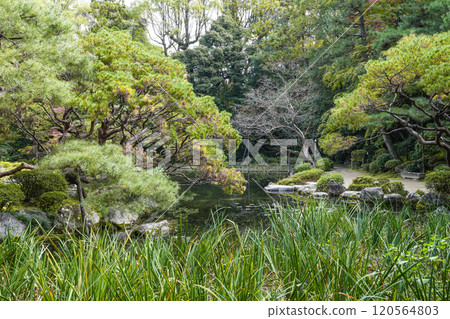 平安神宮西宮庭園（11月） 120564803