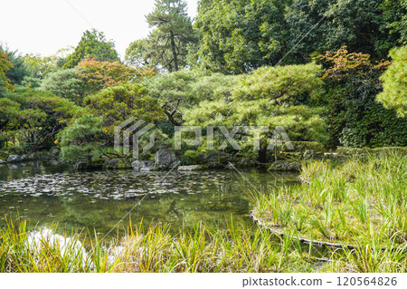 Heian Shrine West Garden (November) Heian Shrine West Garden (November) 120564826
