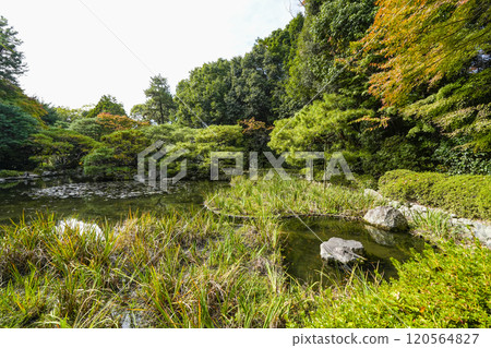 Heian Shrine West Garden (November) 120564827