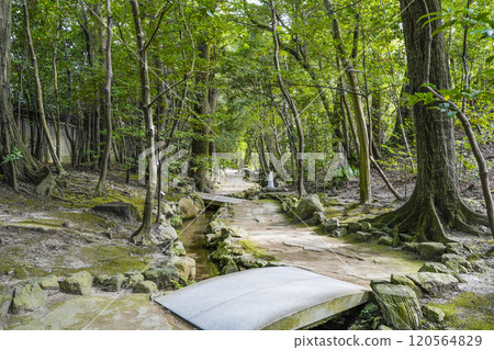 The path from the West Garden to the Central Garden of Heian Shrine The path from the West Garden to the Central Garden of Heian Shrine 120564829