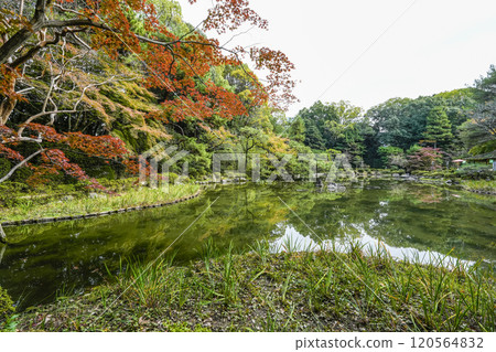 Heian Shrine Central Garden (November) 120564832