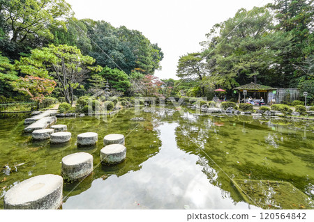平安神宮 中信念 (11 月) 臥龍橋 120564842