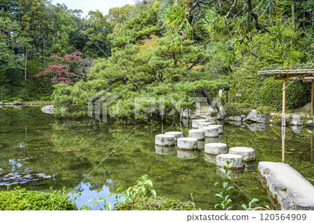 平安神宮 中信念 (11 月) 臥龍橋 120564909