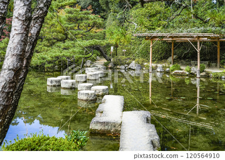平安神宮 中信念 (11 月) 臥龍橋 120564910