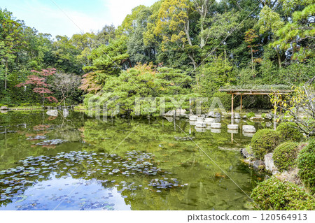 平安神宮中信念（11月） 120564913