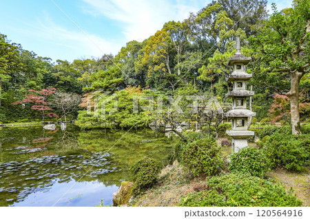 平安神宮中信念（11月） 120564916