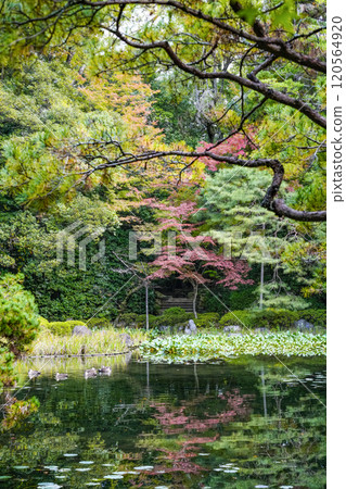 Heian Shrine West Garden (November) Heian Shrine West Garden (November) 120564920